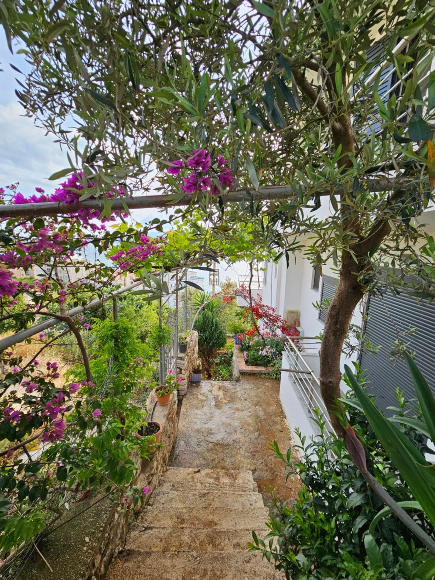 Nora'S Guesthouse Sarande Bagian luar foto